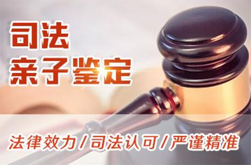 郑州司法亲子鉴定要如何办理,郑州司法DNA鉴定结果需要多久