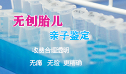 郑州胎儿亲子鉴定咨询预约(中鉴中正不错)