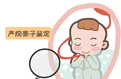郑州孕期亲子鉴定如何做，郑州孕期亲子鉴定准不准确